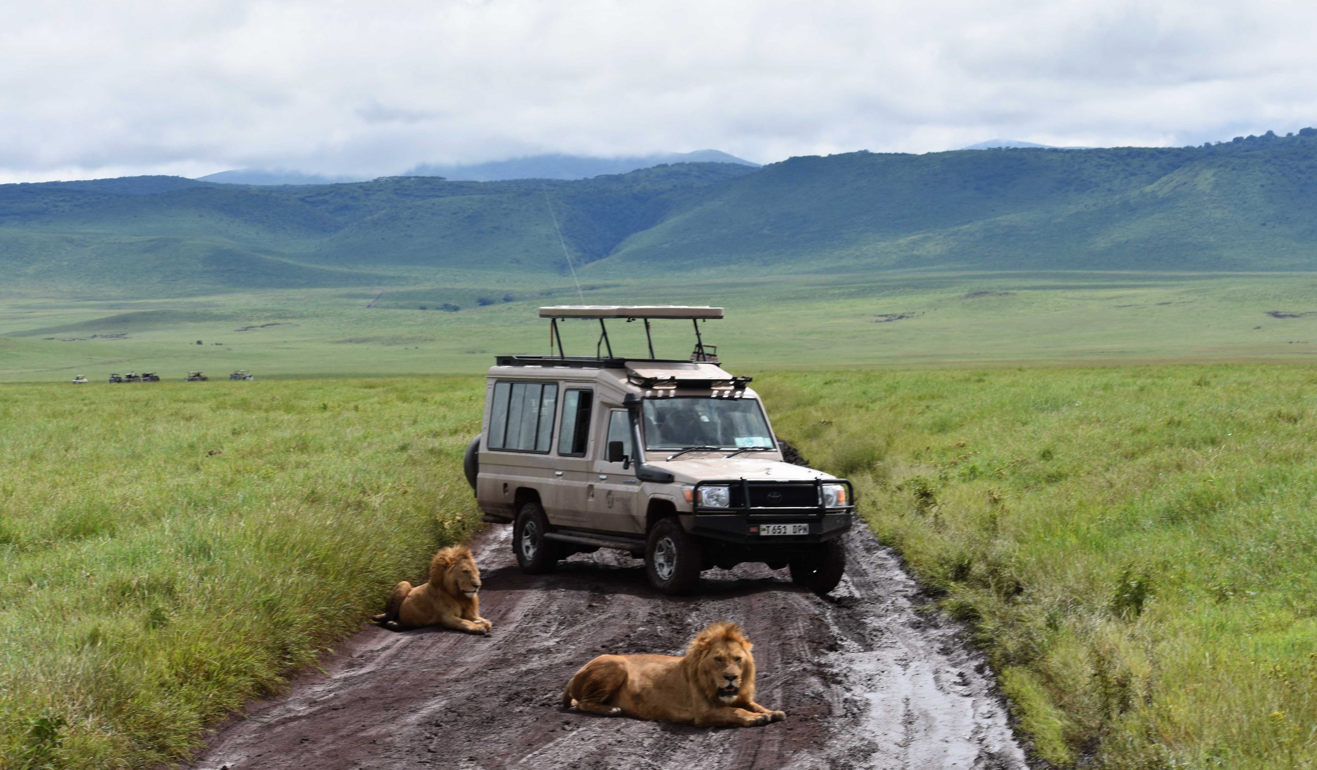 7days-tarangire-lake-natron-serengeti-ngorongoro-crater-and-karatu