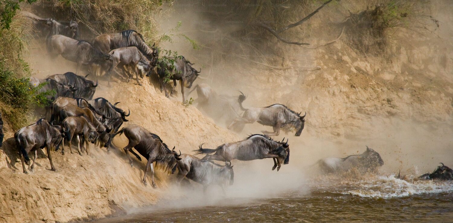 9days-big5-and-great-migration